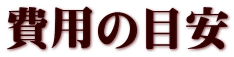 ��p�̖ڈ�